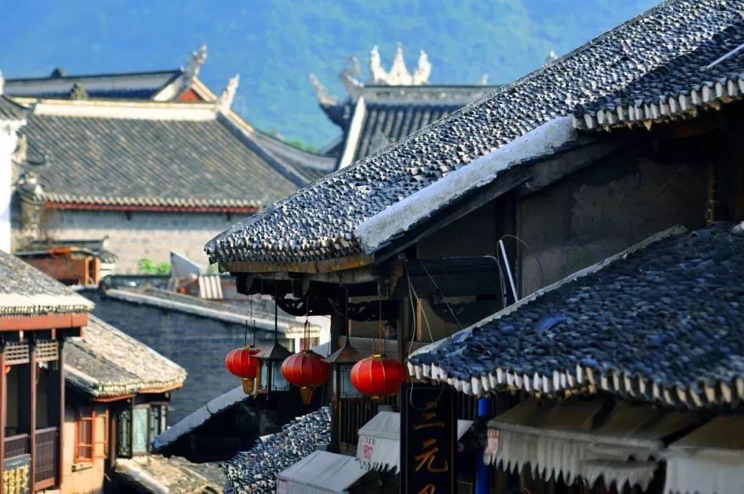 动物帮帮忙保卫家园